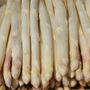 asperges vallée du Rhône - vrac vente en ligne vente en ligne produits frais Asperges Blanches
